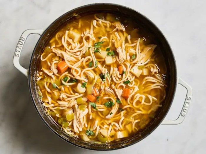 Best ever chicken noodle soup recipe