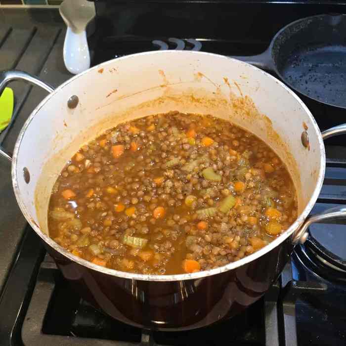 Spicy lentil soup recipes