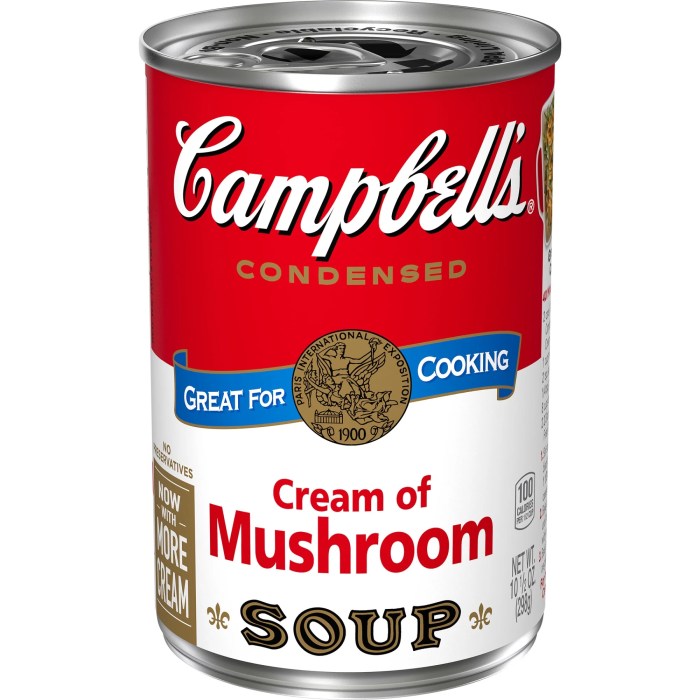 Campbell's cream of mushroom soup recipes with pork chops