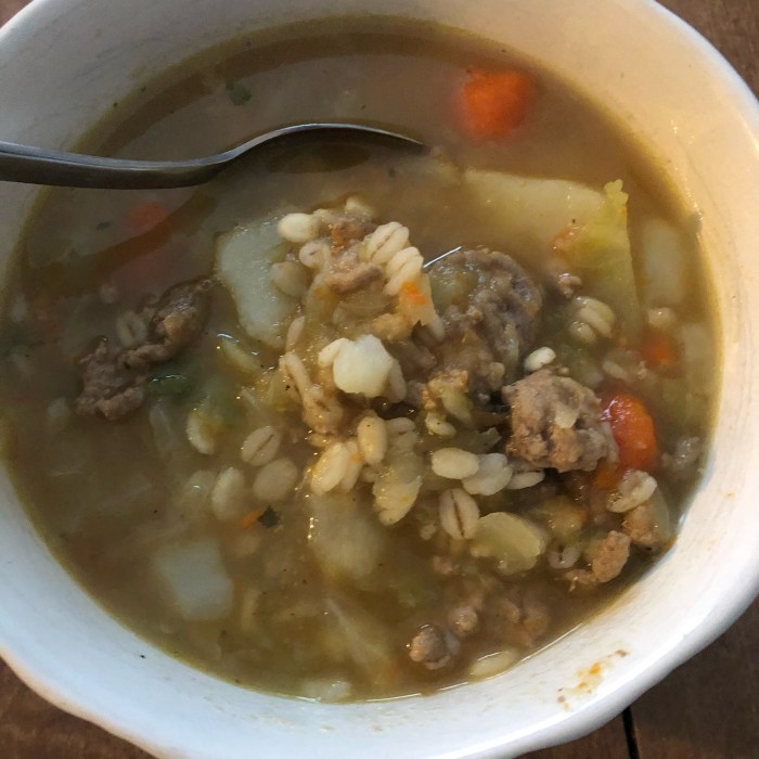 Best ground turkey soup recipes