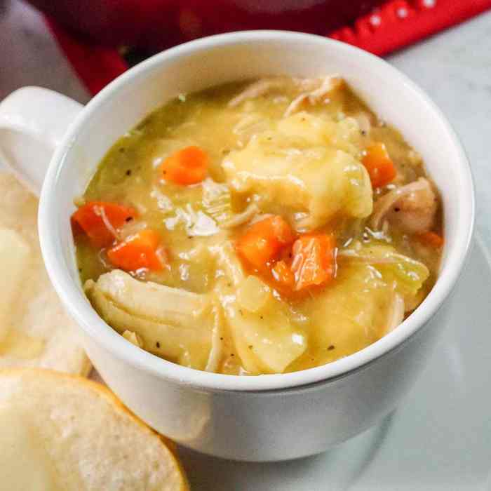 Chicken dumpling soup recipe crock pot