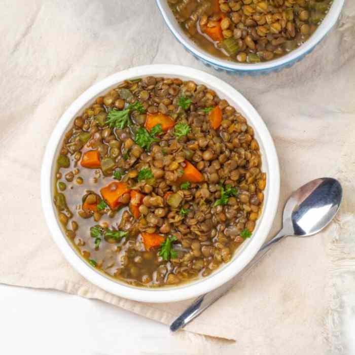 Weight watchers lentil soup recipe