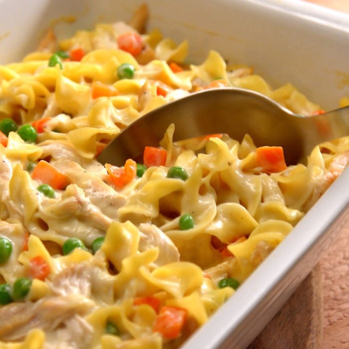 Chicken and noodle recipe with cream of chicken soup