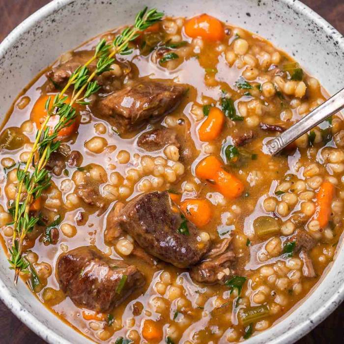 Beef and bean soup recipe