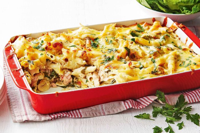 Tuna casserole recipe without mushroom soup