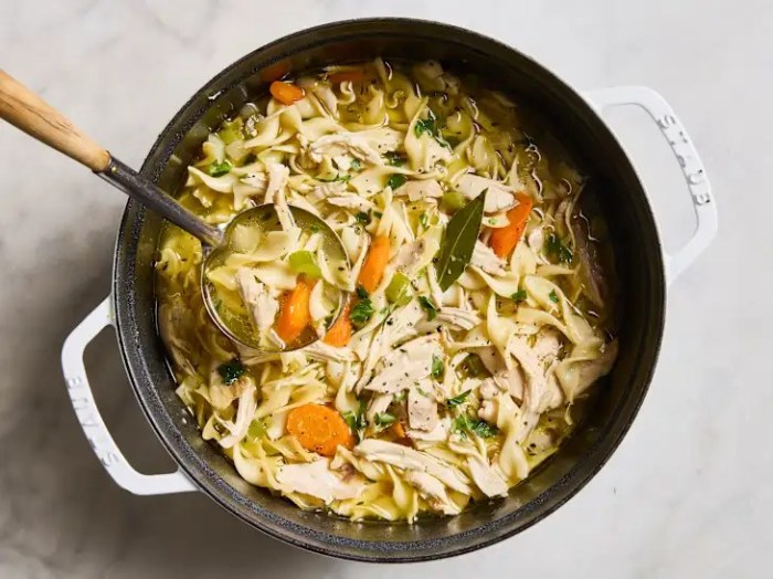 Best ever chicken noodle soup recipe