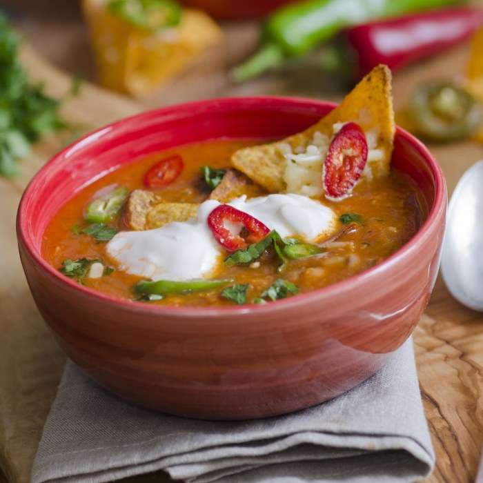 Chicken tortilla soup recipe healthy