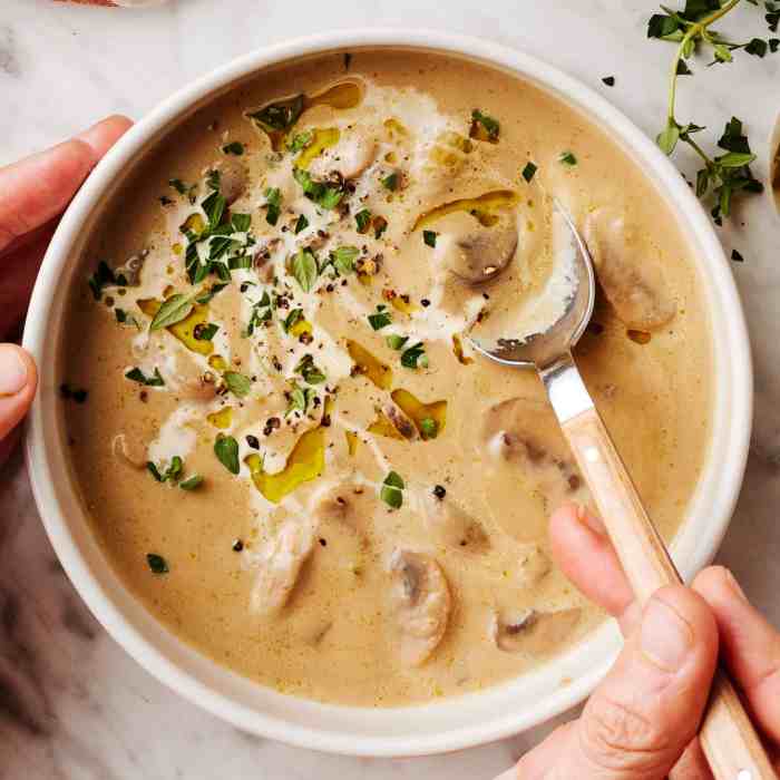 Soup recipes using heavy cream