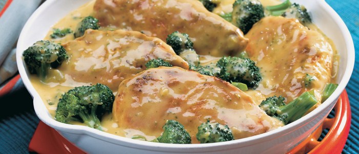 Campbell's broccoli cheese soup recipes with chicken